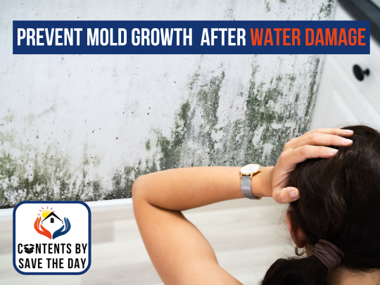 Prevent Mold Growth After Water Damage Essential Tips for Homeowners